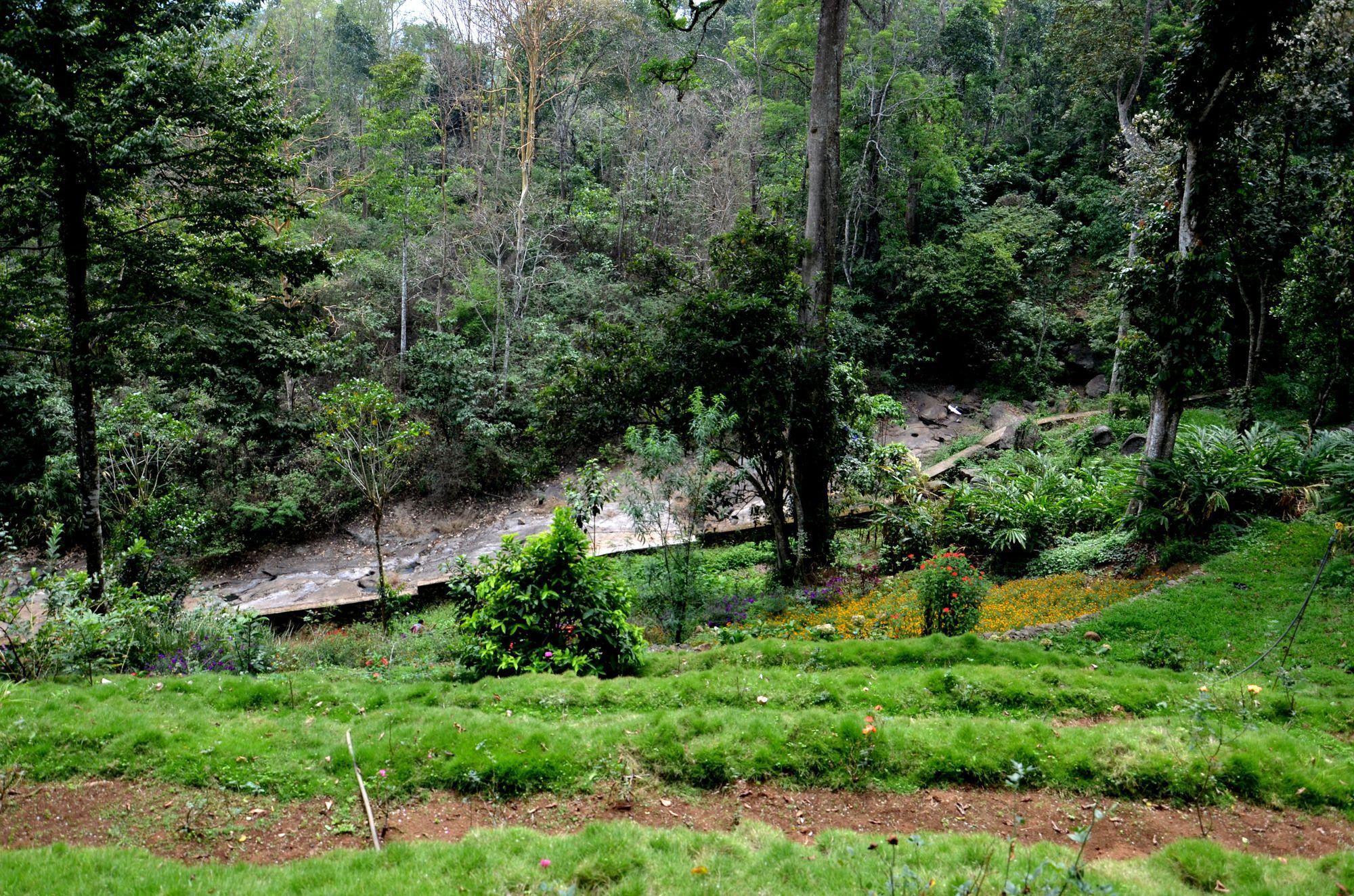 Bamboo Dale Hotell Munnar Eksteriør bilde